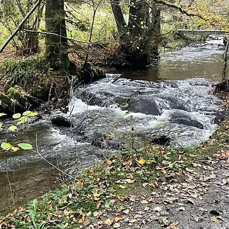 Natuur, Rust & Ontspanning In De Ardennen Chalet *